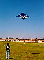 Colin flying one of his deltas.  
He is a superb builder and flyer and came second in the SA championships last year for 
pairs flying.